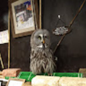 Meet your Posher, Tsugata